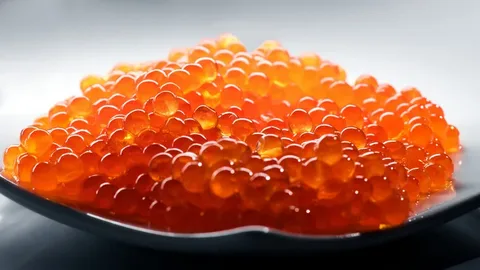 تصویر 4 از خاویار سالمون کمیاب درجه یک حرفه ای